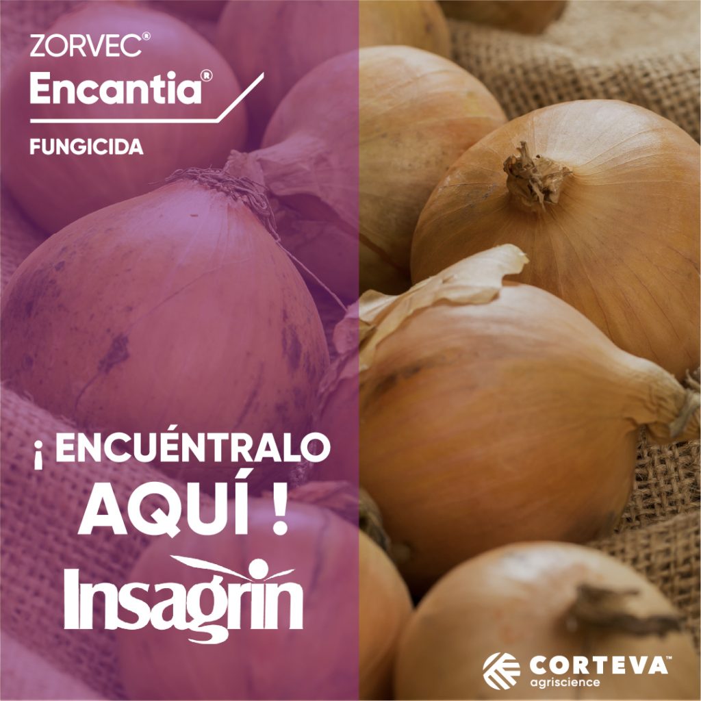Nuevo fungicida Zorvec Encantia, disponible en Insagrin