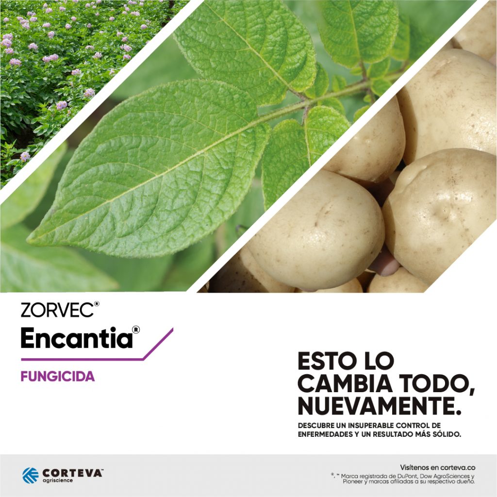 Nuevo fungicida Zorvec Encantia